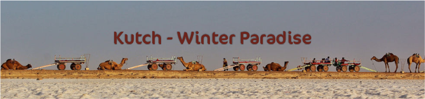 Kutch – Winter Paradise